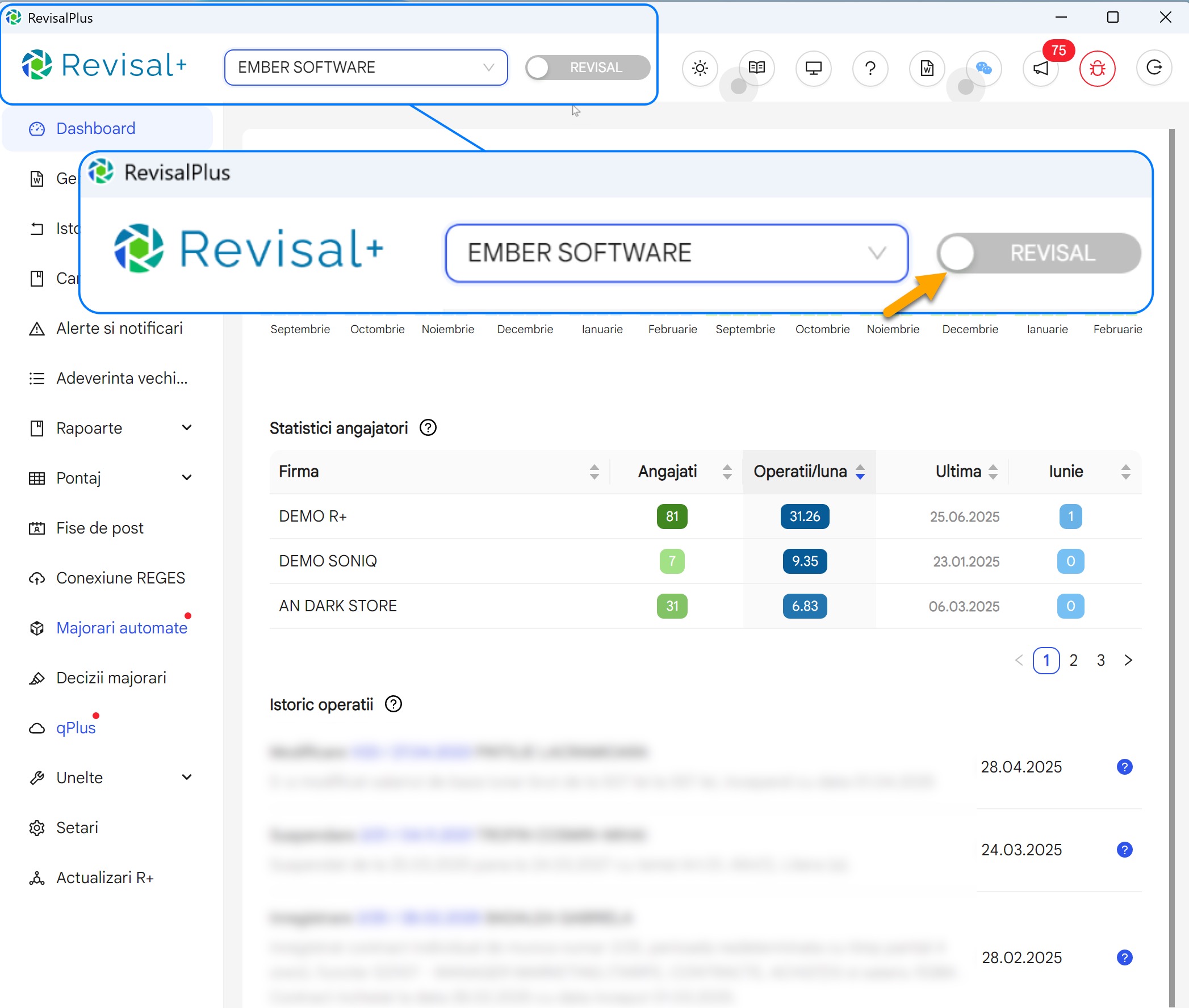 Configurarea conexiunii intre Revisal Plus si REGES Online