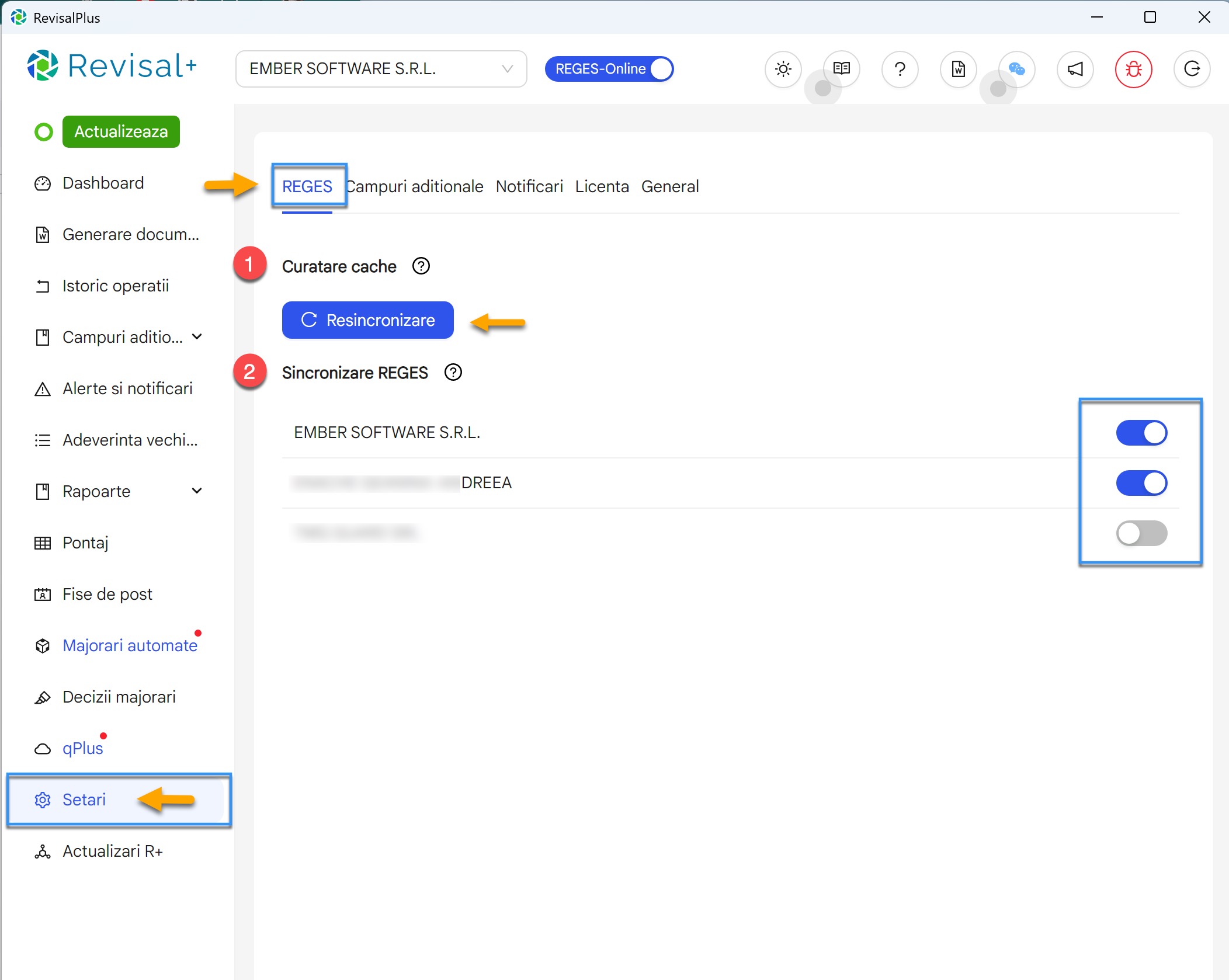 Configurarea conexiunii intre Revisal Plus si REGES Online