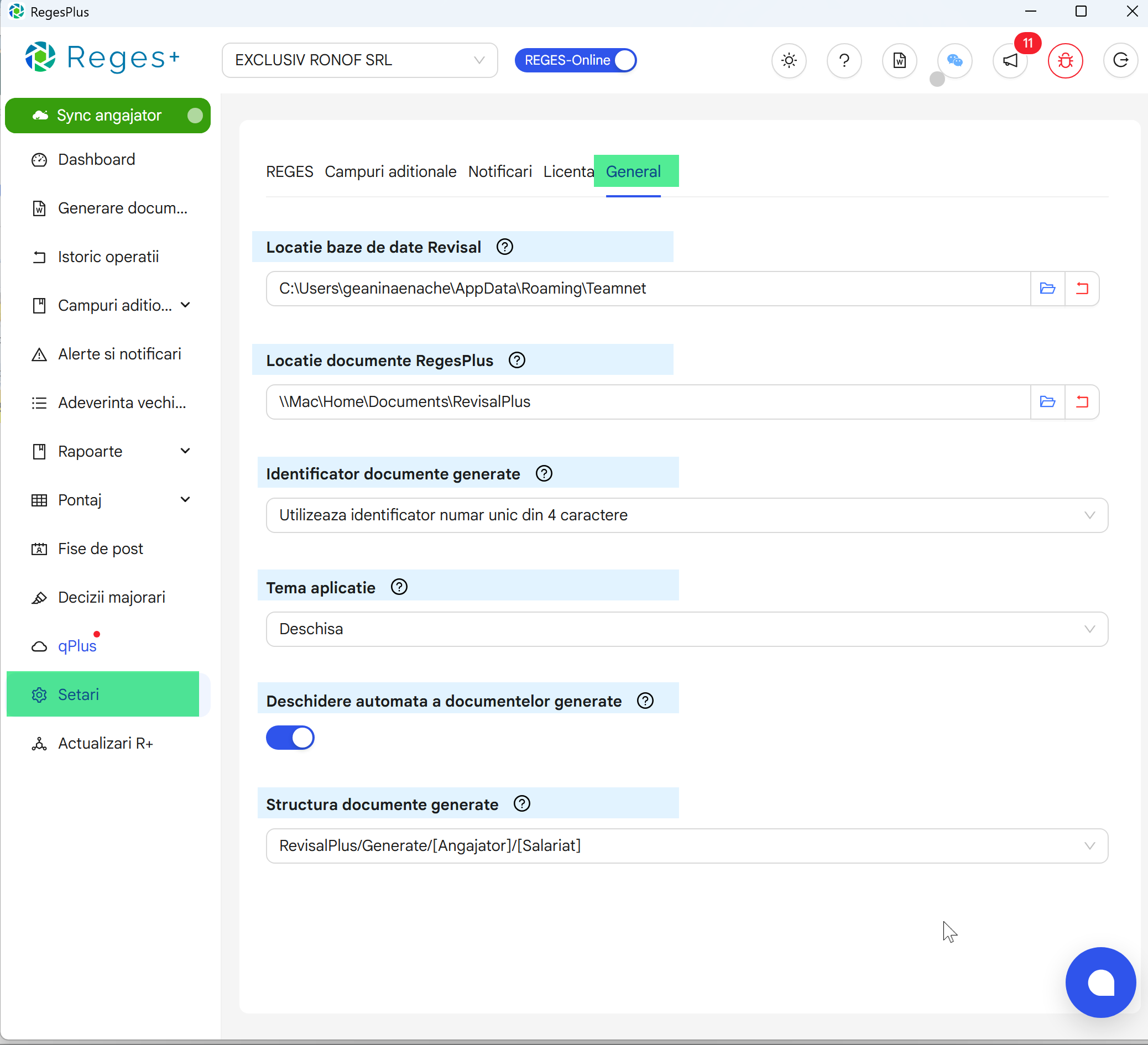 Reges Plus - extensie Reges Online- pentru generarea dcumentelor si rapoartelor